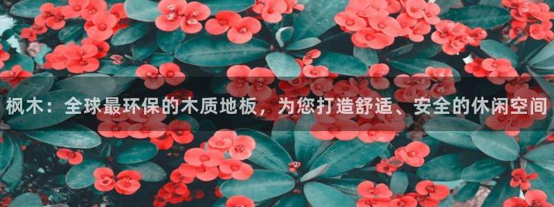 xc体育