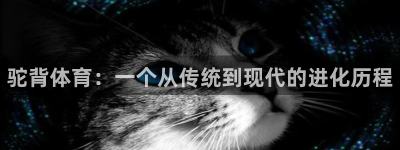 xc体育