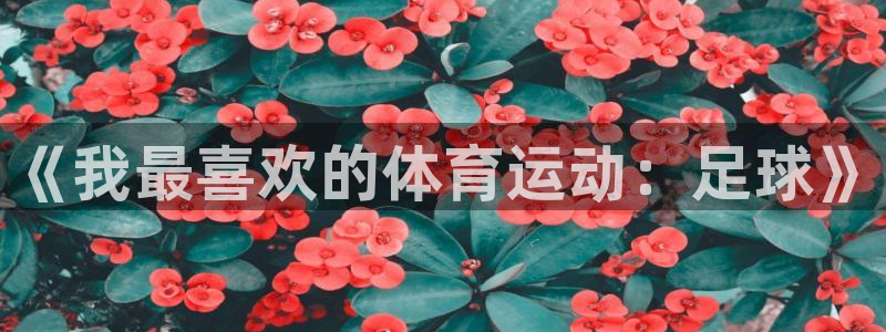 xc体育app官方网站