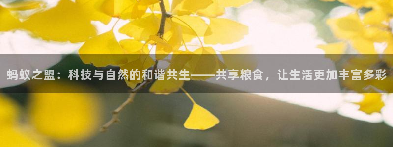 xc体育