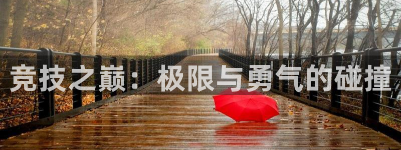xc体育