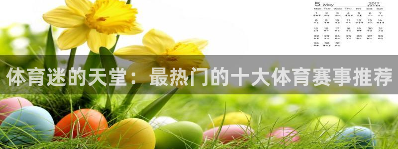 xc体育app官方网站