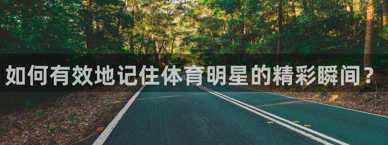 xc体育