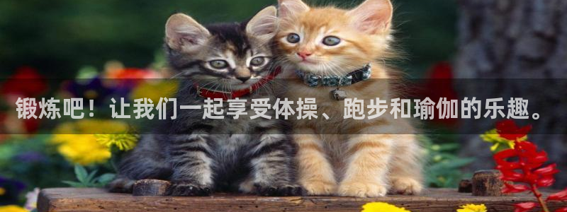 xc体育app官方网站：锻炼吧！让我们一起享受体操、跑步和瑜伽的乐趣。