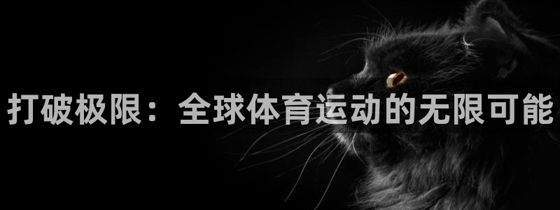 xc体育：打破极限：全球体育运动的无限可能