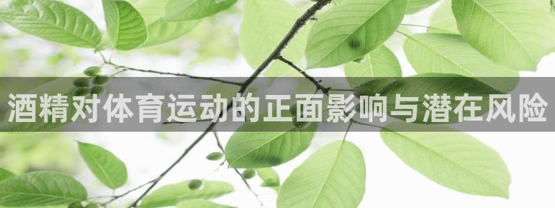 xc体育：酒精对体育运动的正面影响与潜在风险